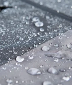 Shirts><noscript><img width=