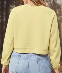 Tops><noscript><img width=